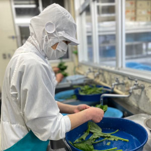 調理中の社員の写真